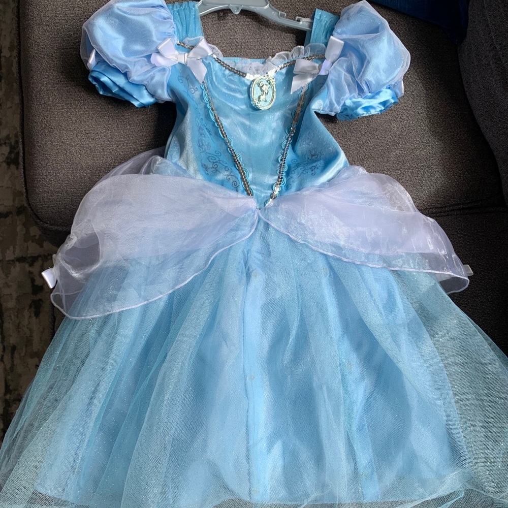 Cinderella costume